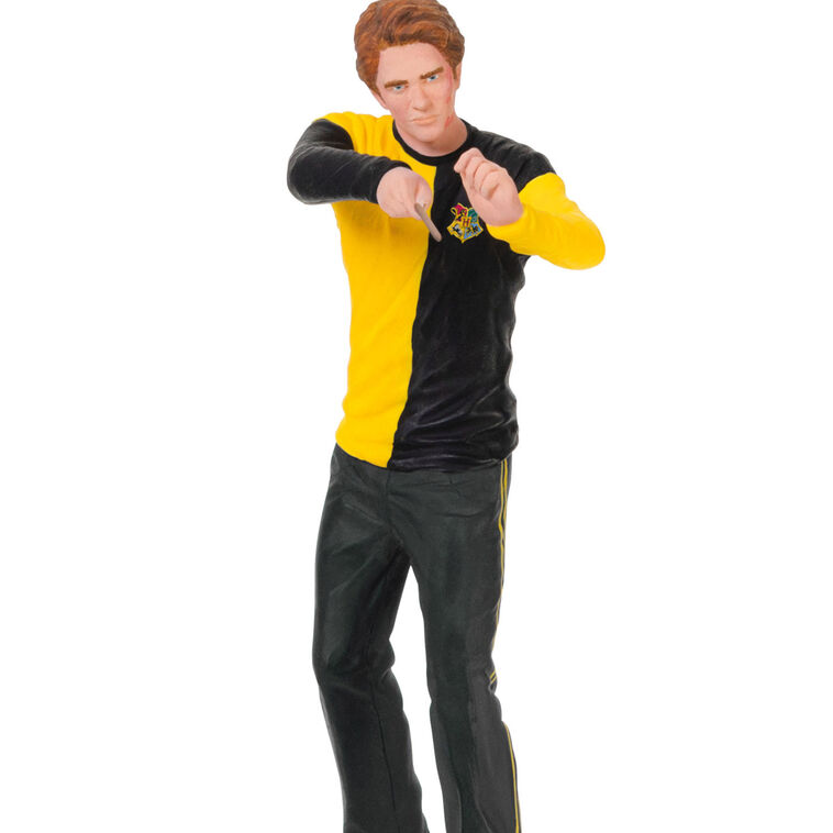Harry Potter™ Cedric Diggory™ Ornament