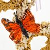 All Season Seed Angel
