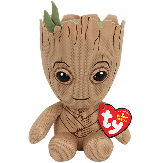 Ty Groot (Regular)