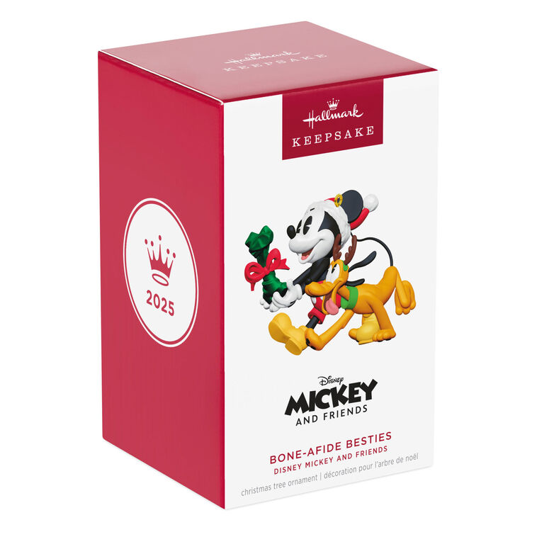 Disney Mickey and Friends Bone-afide Besties Ornament