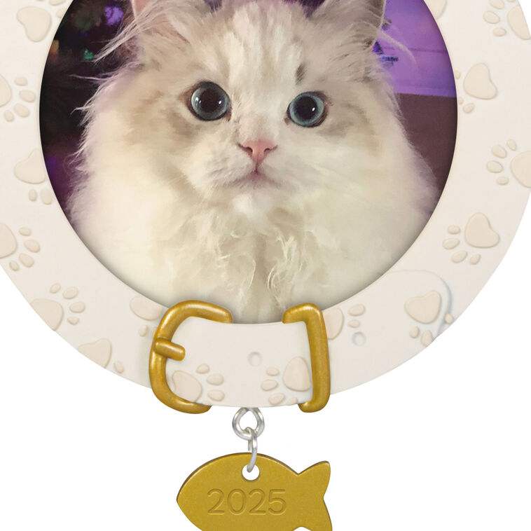 Furry Friend 2025 Photo Frame Ornament